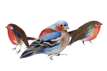 Vögel einer Feder, 2011, Tinte auf Papier